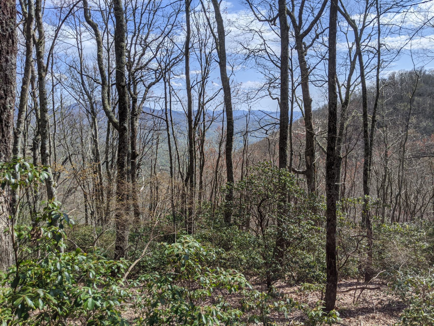 Mountains to Sea Trail view.jpg
